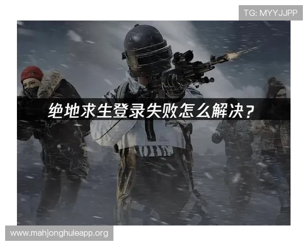 全面介绍pupg官方下载平台的安全性与稳定性保障措施