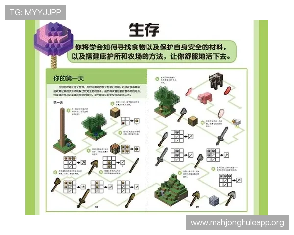PG麻将糊与VK平台的结合优势，提升游戏体验的实用指南